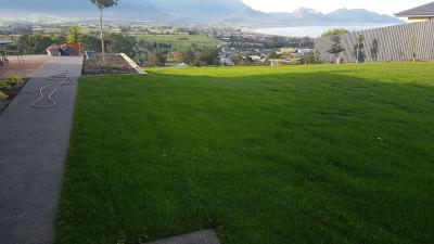 lawn growth for website
